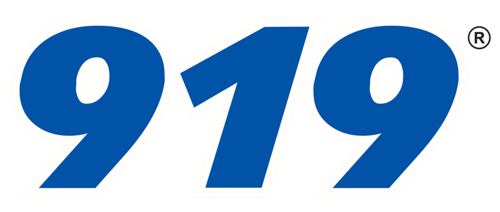 logo 919 1